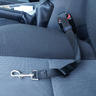 View Item Car Seat Belt Harness for Dogs